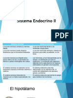 Sistema Endocrino II