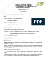 Anatomia. Sistema Digestivo. FCV-UCV