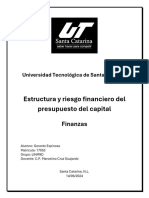 Estructura y Riesgo Financiero Del Presupuesto Del Capital