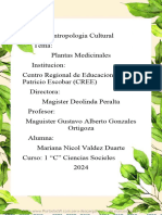 Plantas Medicinales