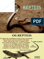 Répteis