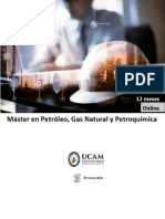 Master en Petroleo, Gas Natural y Petroquimica