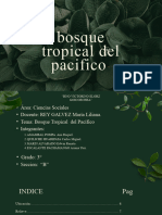 Boaque Tropical Del Pasifico