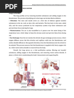 Biology For Engineers-Module 3 - Lungs As A Purification System - Notes