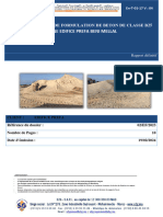 Rapport Formulation de Béton B25 DEFINTIF