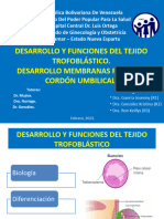 Trofoblasto, Membranas Cordon - 074647