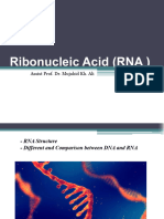 Ribonucleic Acid RNA 1