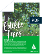 Edibletrees en Final 2021