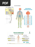 Unidad 2 Neurolinguistica