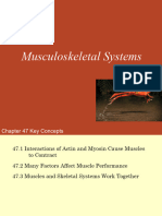 47 Musculoskeletal System