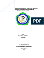 Mendelay LTA 2024 - 21.077.AF - MAGHFIRA BESTIRA