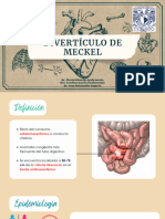 Divertículo de Meckel PDF