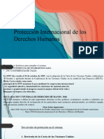 ONU Protección Internacional de Los Derechos Humanos