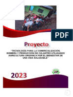 Proyecto 2023