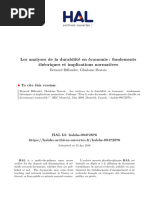 Les Analayses Durabilite en Eco-Fondements Theoriques Et Normatives (E)