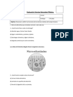 Prueba 8° Sistemas Del Cuerpo Humano