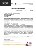 Carta de Consentimiento 2024