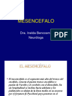 Mesencefalo Teoria