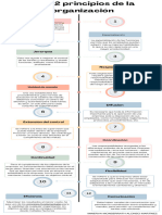 12 Principios de La Organización