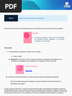 Aplicaciones Proceso Morfologico