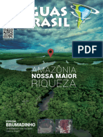 Revista Aguas Do Brasil 24