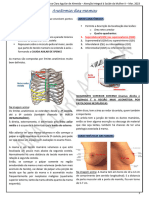 Aula Transcrita - Anatomia Das Mamas