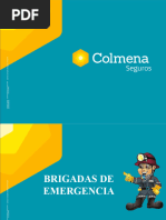 Brigadas de Emergencia