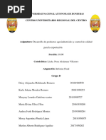 Informe Final Grupo D