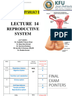 Ap2 Week 14 Final Reproductive