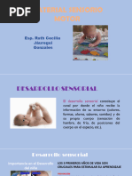 Material Sensorio Motor - Elaboracion PDF