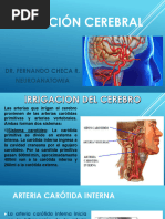 Irrigacion Cerebral