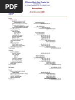 Standard Balance Sheet - Devi