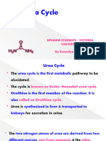 Urea CYCLE