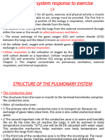 Called Pulmonary Ventilation. External Respiration