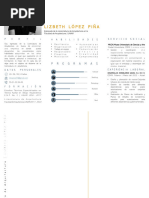 CV y Portafolio-Lizbeth López Piña