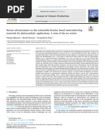 Recent Advancements On The Sustainable Biochar Based Semiconducting Materials For Photocatalytic Applications - A State of The Art Review