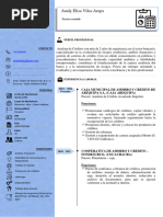 CV Analy Vilca PDF