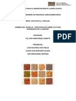 Investigación Sobre Cultivos Originarios de La Región