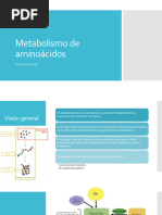 Clase 13 Metabolismo de Aminoácidos BIOQUIMICA