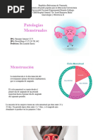 Patologías Menstruales 2024