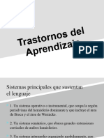 Trastornos Del Aprendizaje