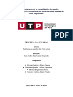 PracticaCalificada2 PDP