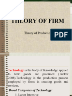 Theory of Production