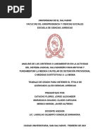 Análisis de Los Criterios o Lineamientos en La Actividad Del Sistema Judicial Salvadoreño para Motivar y Fundamentar La Medida Cautelar de Detención Provisional o Medidas Sustitutivas A La Misma