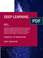 Deep Learning Project