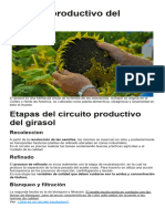 Circuito Productivo Del Girasol