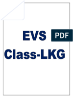 EVS Annual Question Papers From LKG To II