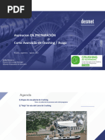 02 - Introducción Al Proceso de Crushing Visión Global de Los Procesos en Una Planta de Procesamiento de Oleaginosas - A. Demarco