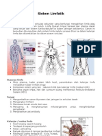 Sistem Limfatik