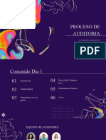 Proceso de Auditoria